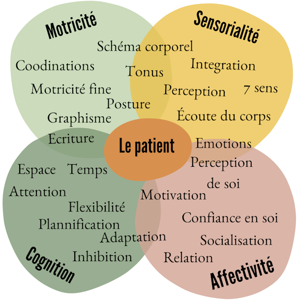 psychomotricité